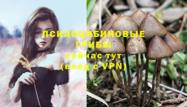 бутик Заводоуковск