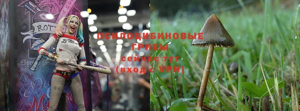бутират Заволжье