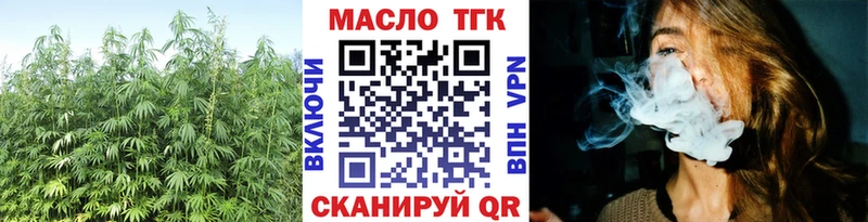 Купить  Кувшиново  ТГК гашишное масло 