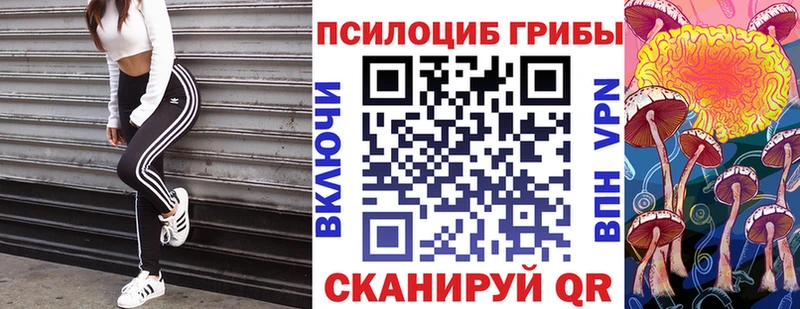 Купить  Кувшиново  Псилоцибиновые грибы ЛСД 